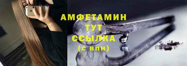 твердый Арсеньев