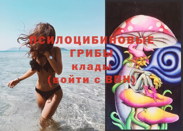 твердый Арсеньев