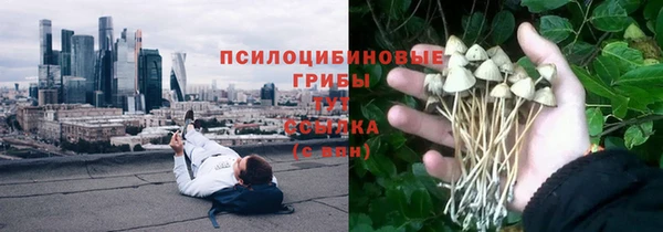твердый Арсеньев